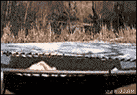lCHaEvI.gif